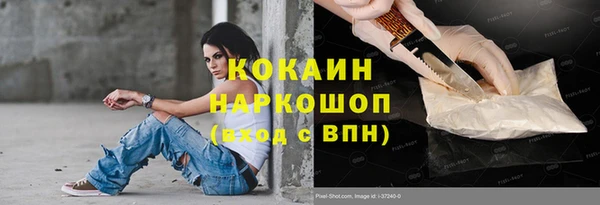 сатива Баксан