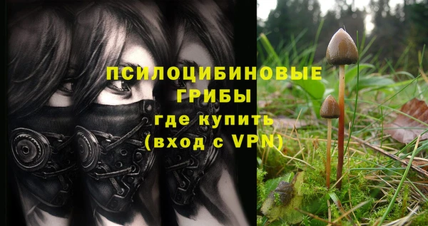 сатива Баксан