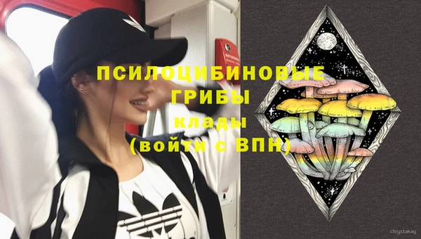 мдпв Балабаново