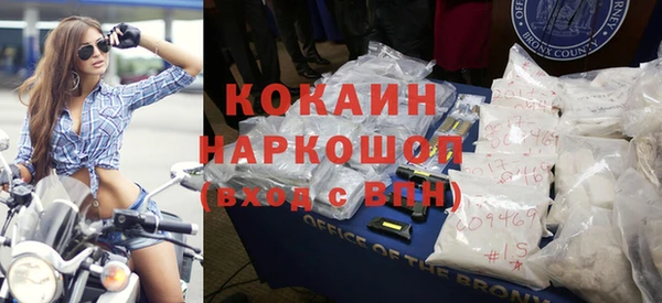 сатива Баксан