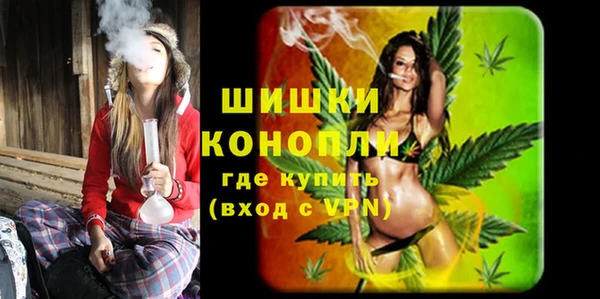сатива Баксан